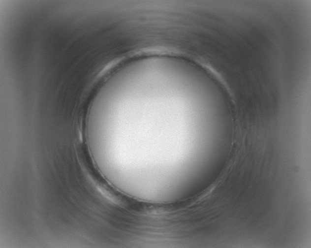 X0000083010062200702020926