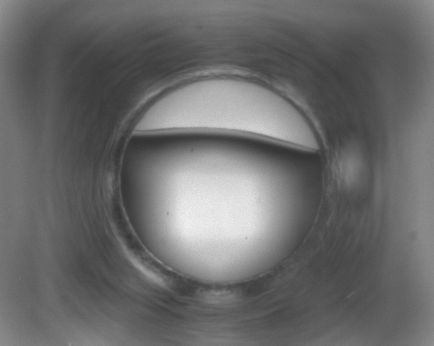 X0000083010063200702020926