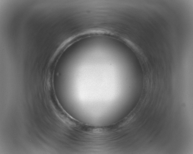 X0000083010064200702020926
