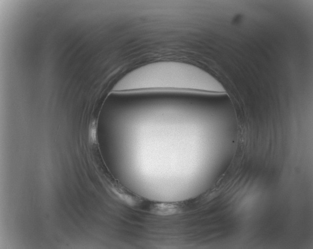 X0000083010095200702020927