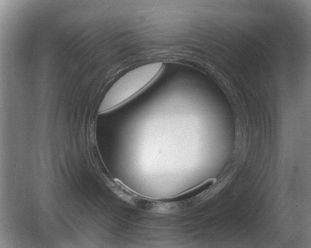 X0000083010096200702020927