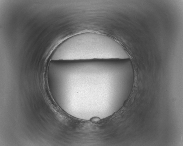 X0000083010098200702020926