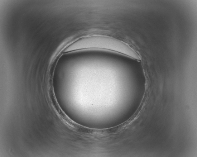 X0000083010101200702020926