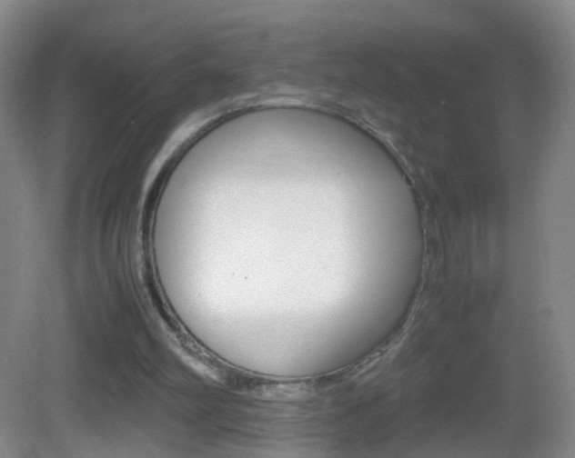 X0000083010102200702020926