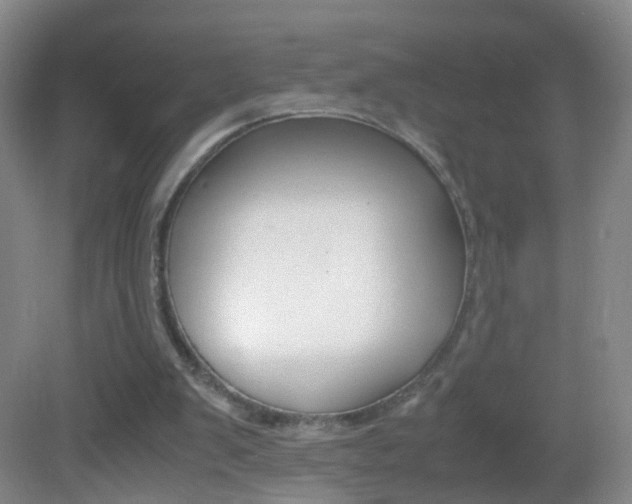 X0000083010103200702020926