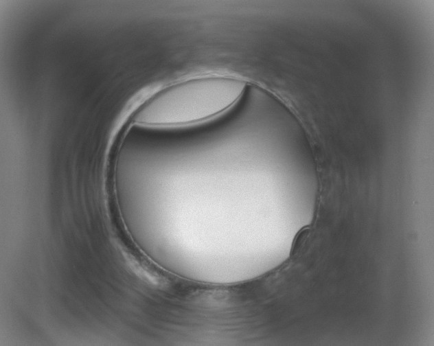X0000083010104200702020926