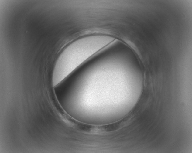 X0000083010109200702020926