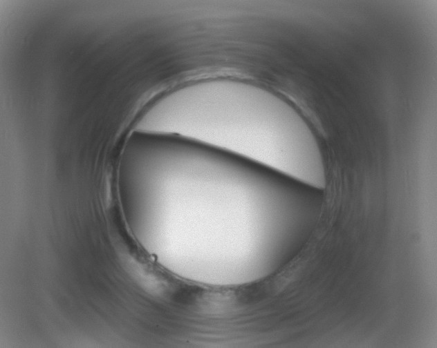 X0000083010110200702020926