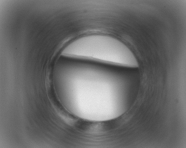 X0000083010116200702020925