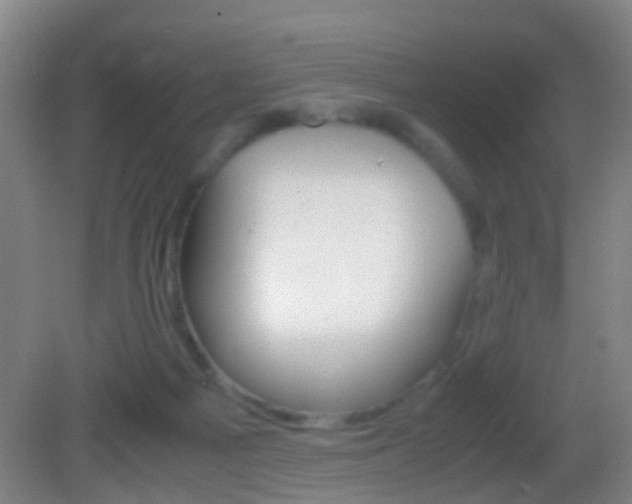 X0000083010121200702020925