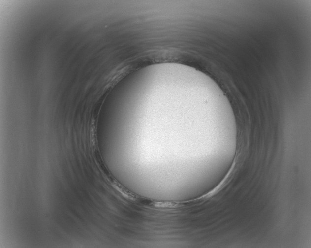 X0000083010144200702020925