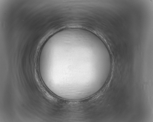 X0000083010145200702020924