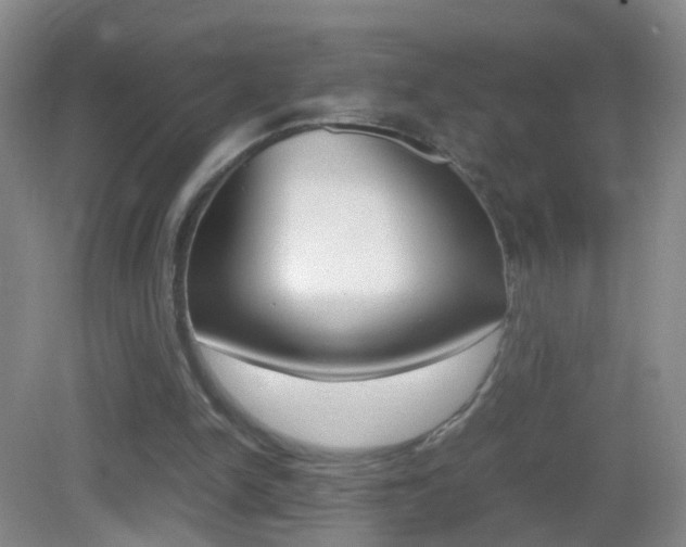 X0000083010150200702020924