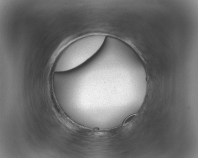 X0000083010151200702020924