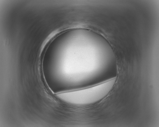 X0000083010152200702020924