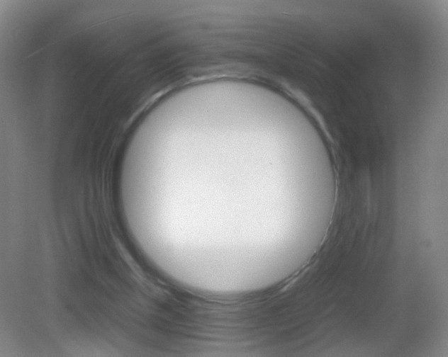 X0000083010154200702020924