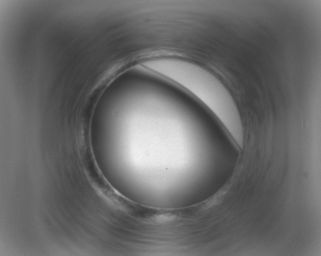 X0000083010158200702020924
