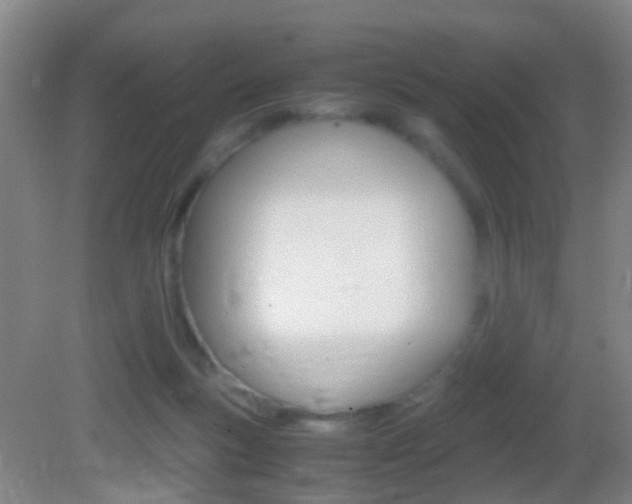 X0000083010167200702020925