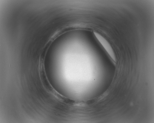 X0000083010168200702020925