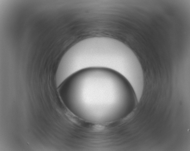 X0000083010176200702020925