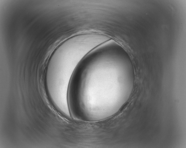 X0000083010193200702020924