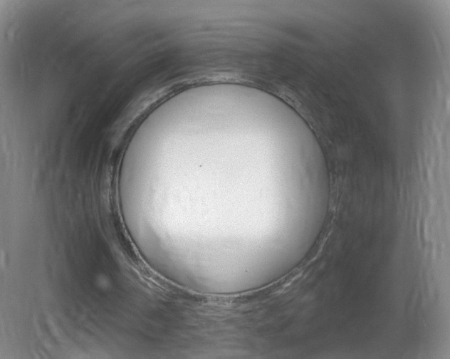 X0000083010194200702020924