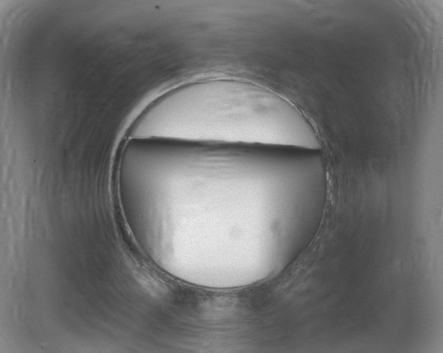 X0000083010196200702020924