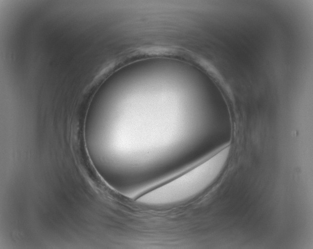 X0000083010201200702020924
