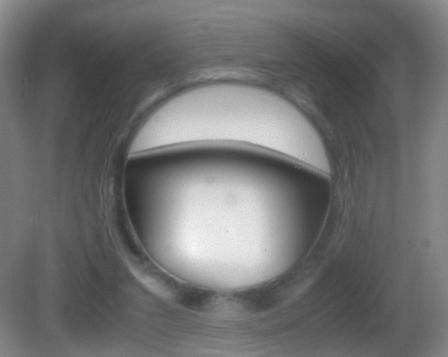 X0000083010207200702020924