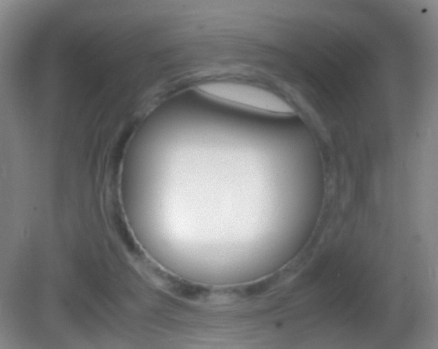 X0000083010209200702020924