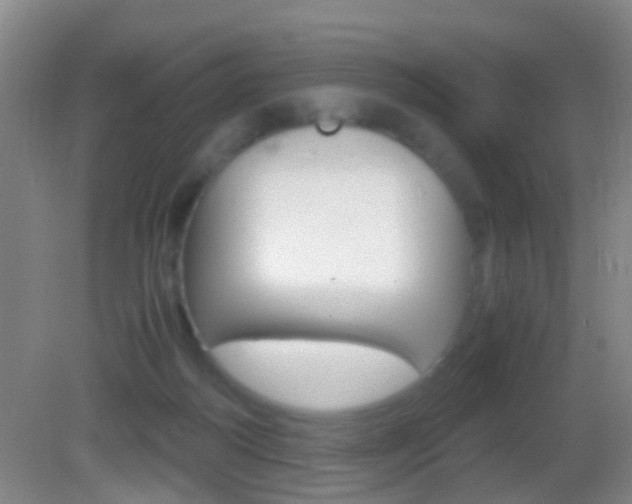 X0000083010218200702020924