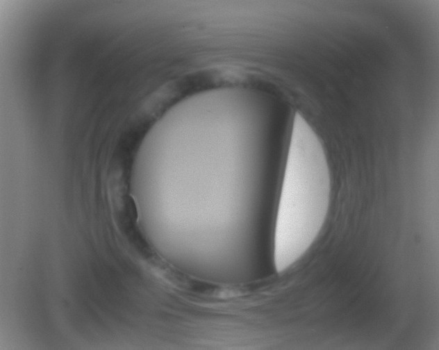 X0000083010223200702020924