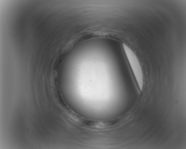 X0000083010229200702020923