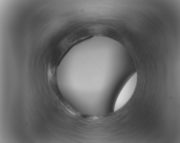 X0000083010239200702020923