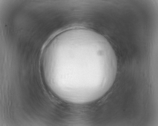 X0000083010244200702020923