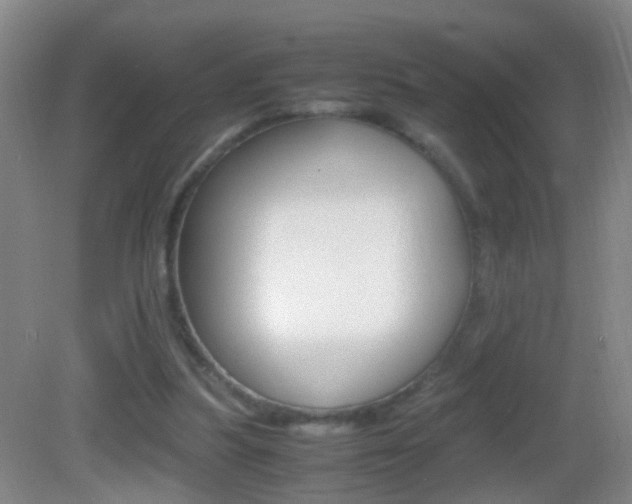 X0000083010251200702020923
