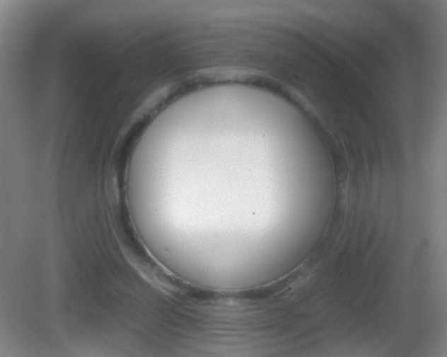 X0000083010254200702020923