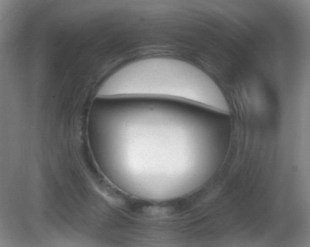 X0000083010255200702020923