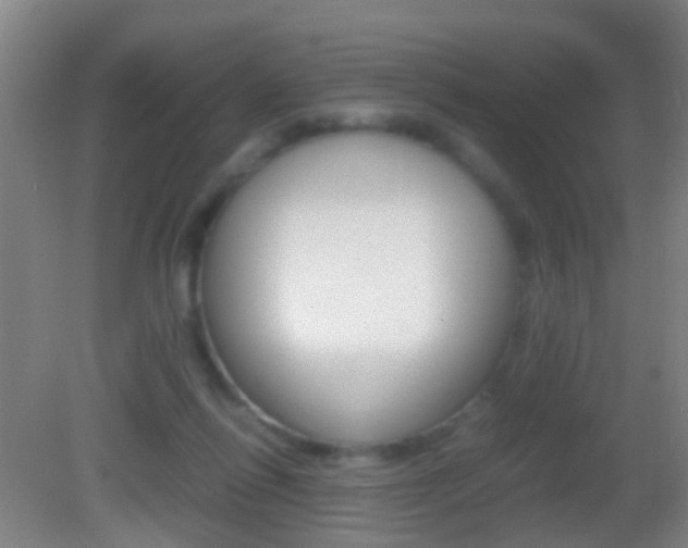 X0000083010262200702020923