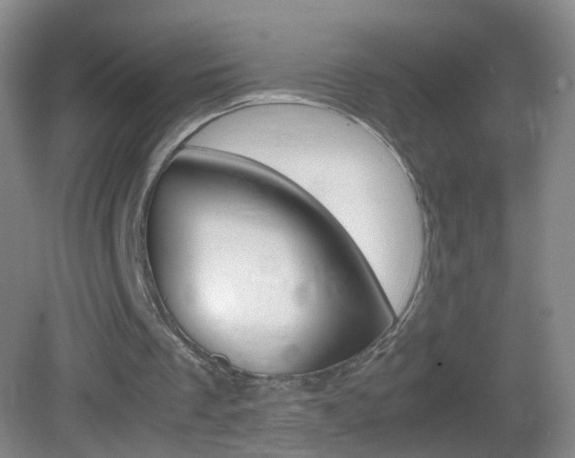 X0000083010289200702020922