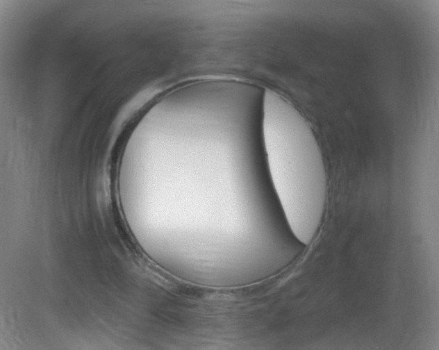 X0000083010294200702020922