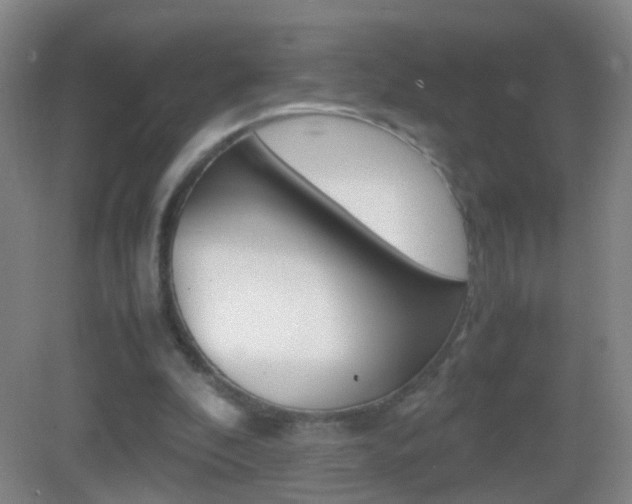 X0000083010296200702020922