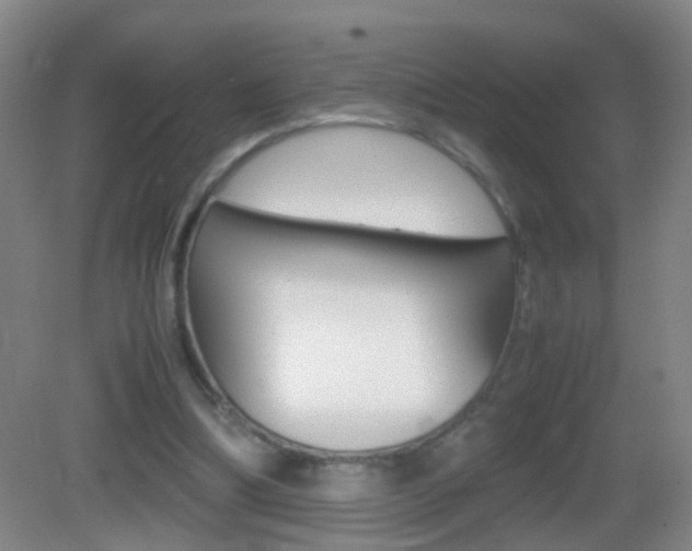 X0000083010298200702020922