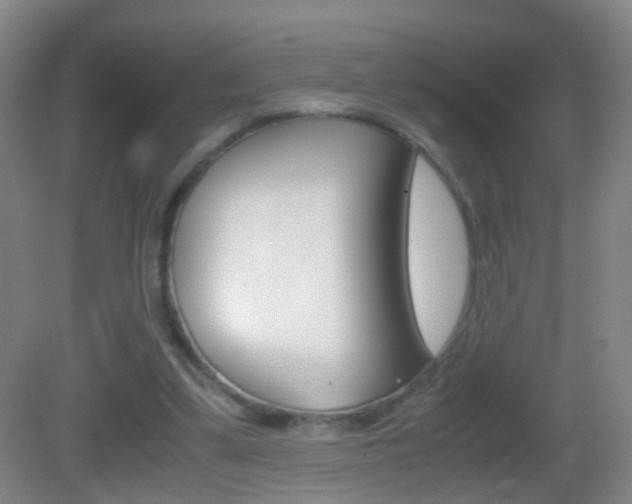 X0000083010299200702020922
