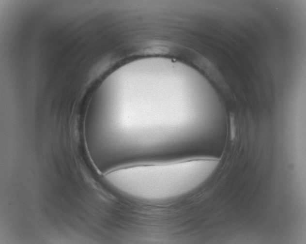 X0000083010300200702020922