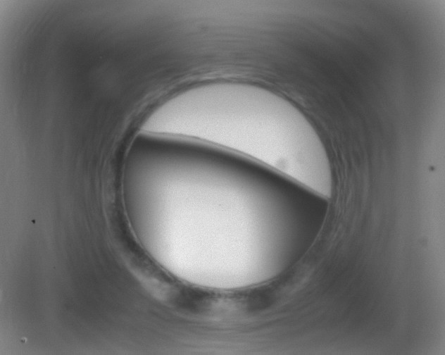 X0000083010303200702020922