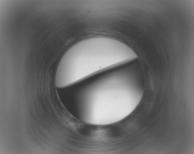 X0000083010312200702020922