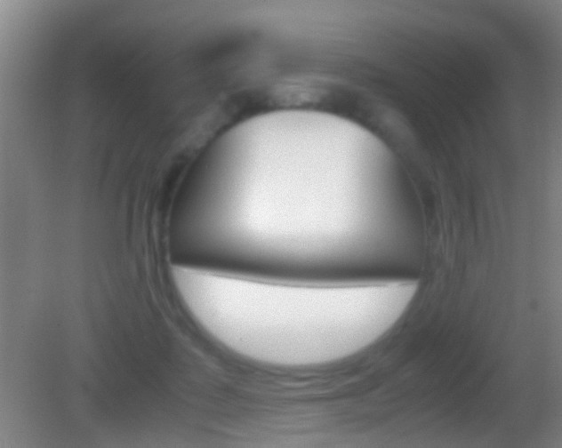 X0000083010315200702020922