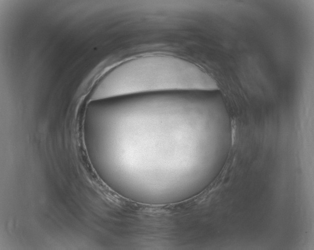 X0000083010339200702020921