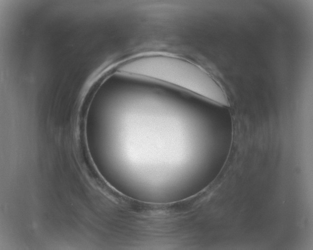 X0000083010344200702020921